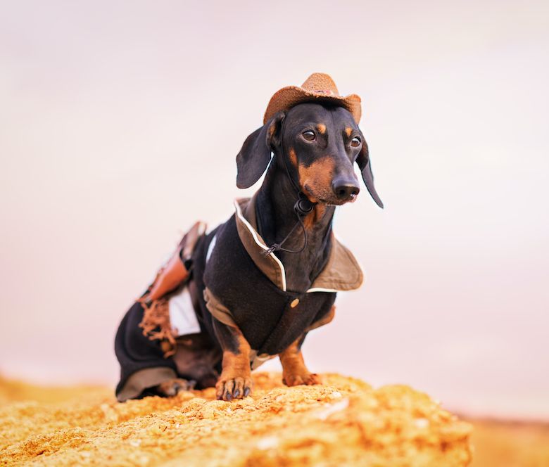 Them's Fighting Words!